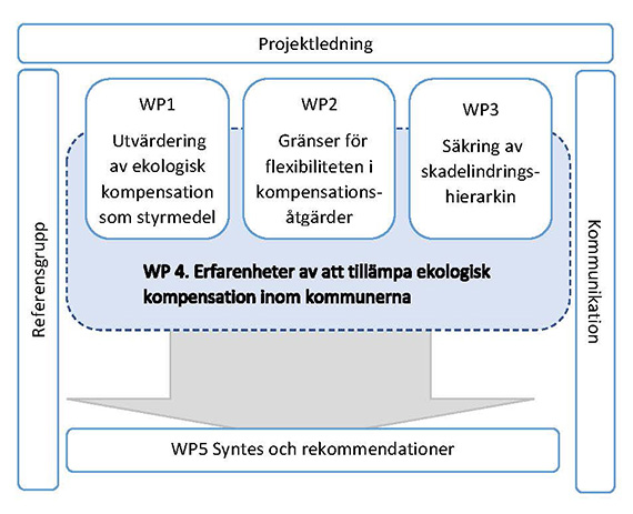 MuniComp projektstruktur med olika arbetspaket (WP)