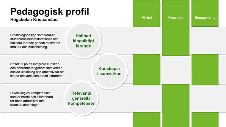 Pedagogisk profil, bild som pdf-dokument.
