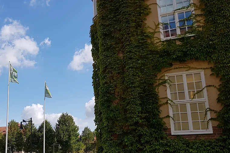 Hus och flaggstänger på campus.