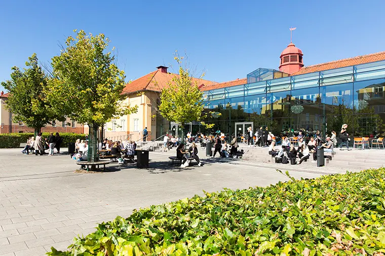 Studenter utomhus på högskolans campus, sommar.