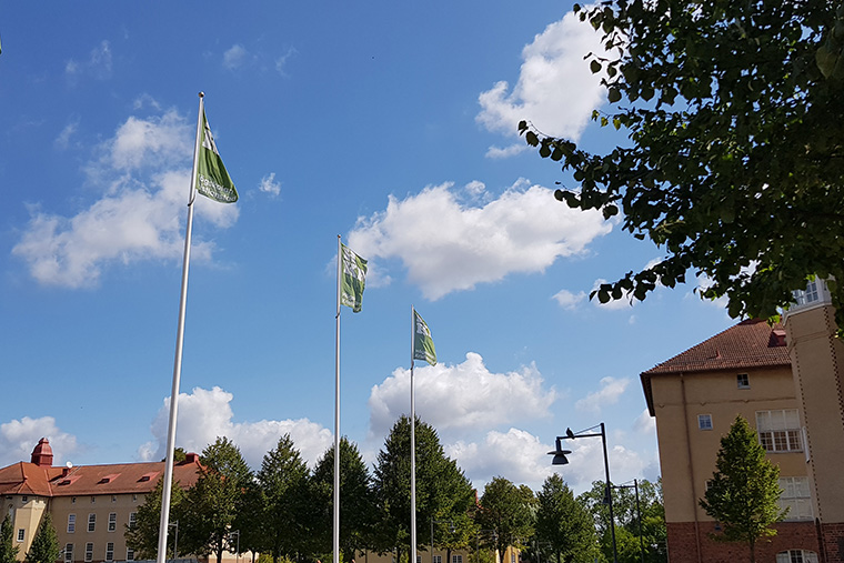 Tre flaggor p&aring; h&ouml;gskolans campus.