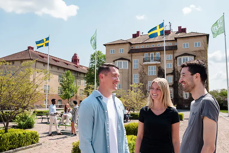 Tre studenter som samtalar på campus en fin sommardag
