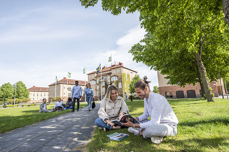Studenter utomhus på campus, sommar.
