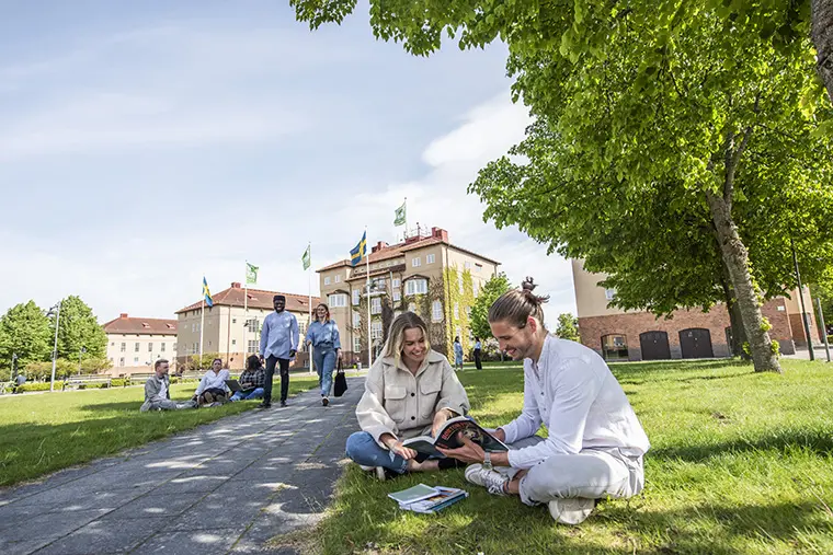 Studenter utomhus på campus, sommar.
