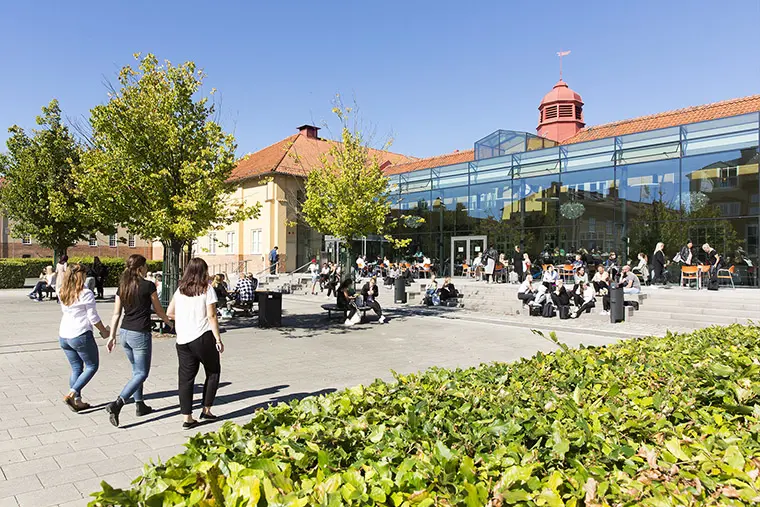 Studenter på campus, tre personer går med ryggen mot kameran