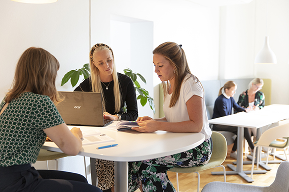 Studentgrupp studerar